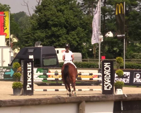 Reitturnier Detmold-Remmighausen 2018