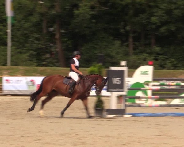 Reitturnier Detmold-Remmighausen 2018