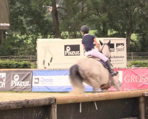 Reitturnier Detmold-Remmighausen 2018
