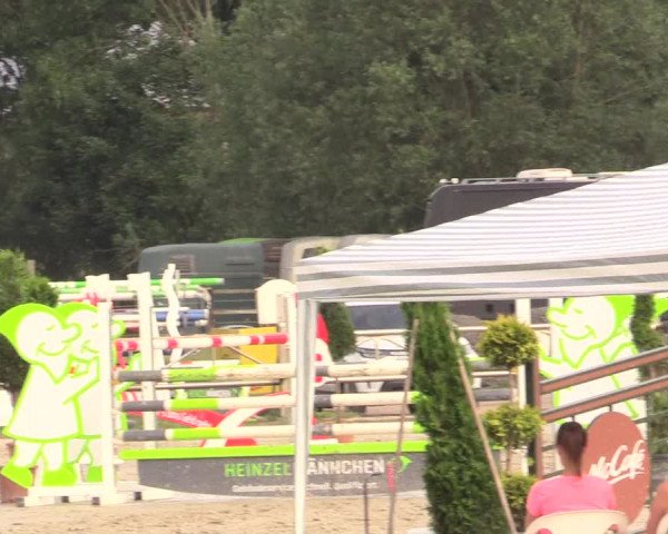 Reitturnier Detmold-Remmighausen 2018