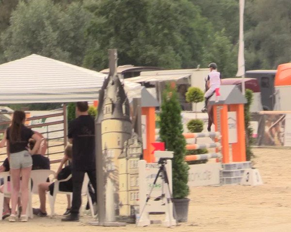 Reitturnier Detmold-Remmighausen 2018
