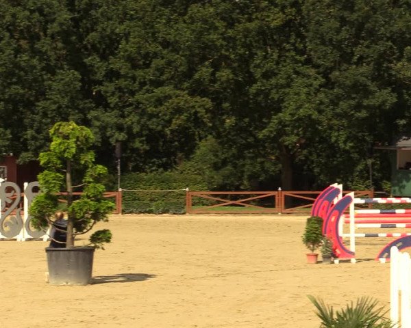 Equus Colonius - Reitanlage Brüse Köln 2021
