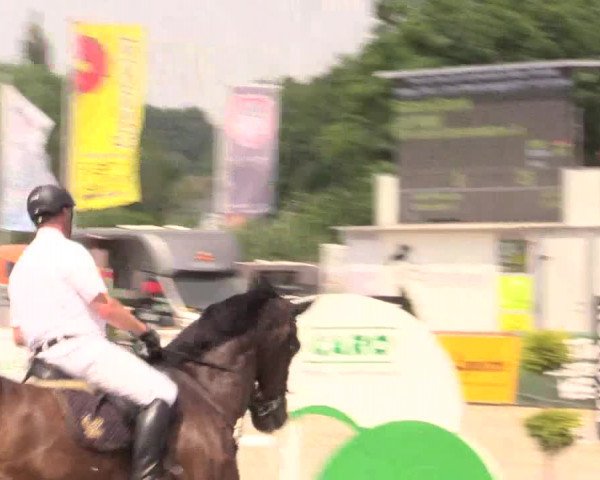 Reitturnier Detmold-Remmighausen 2018