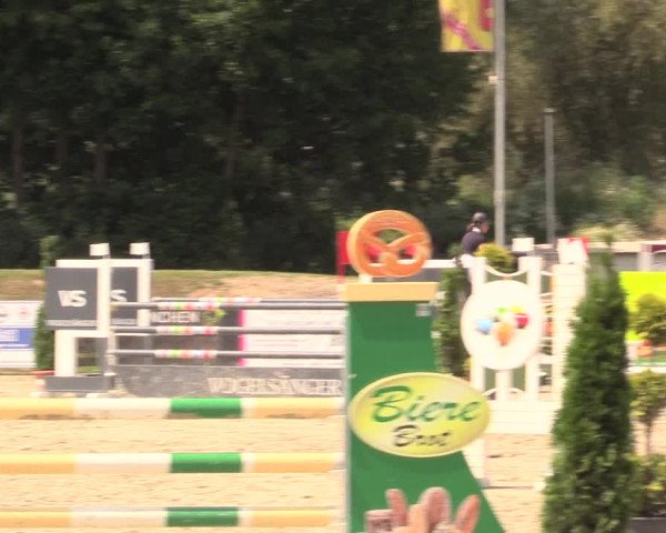 Reitturnier Detmold-Remmighausen 2018