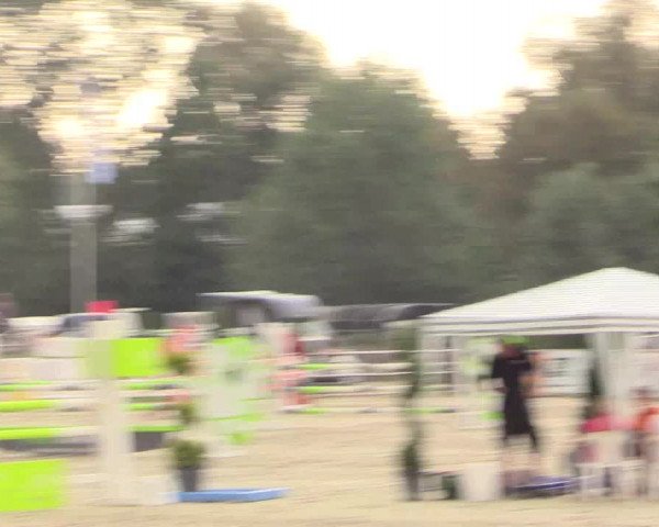 Reitturnier Detmold-Remmighausen 2018