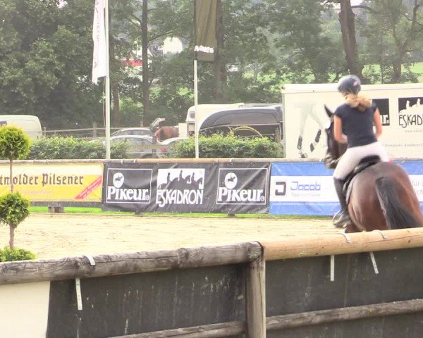 Reitturnier Detmold-Remmighausen 2018