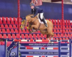 jumper Landlord O (Oldenburg show jumper, 2011, from Levisonn 208 FIN)