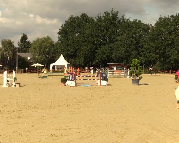 Equus Colonius - Reitanlage Brüse Köln 2021