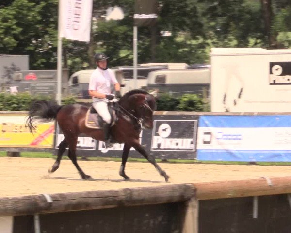 Reitturnier Detmold-Remmighausen 2018