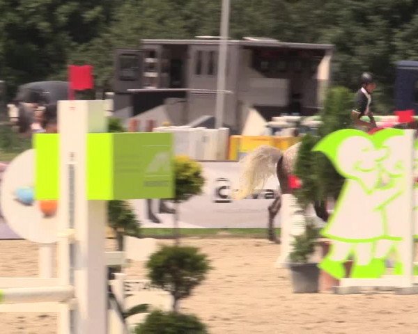 Reitturnier Detmold-Remmighausen 2018