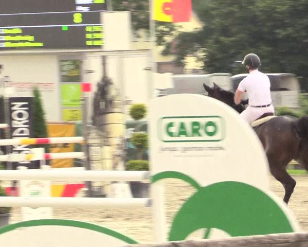 Reitturnier Detmold-Remmighausen 2018