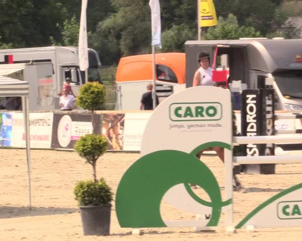 Reitturnier Detmold-Remmighausen 2018