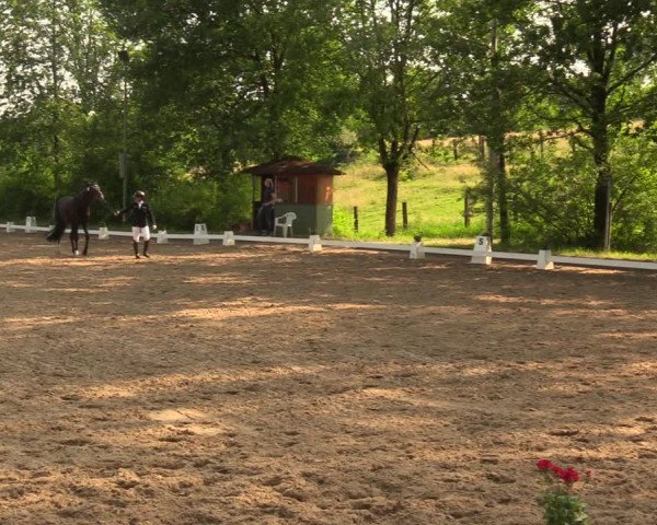 Reitturnier Erkrath - Uhlenhof 2018