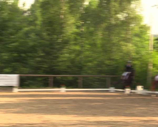 Reitturnier Erkrath - Uhlenhof 2018