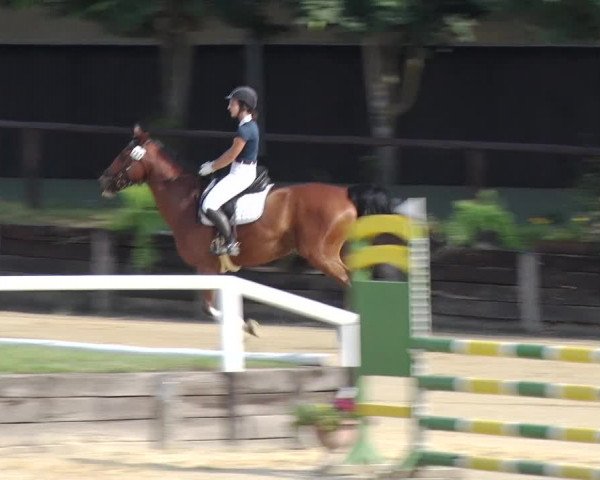 Reitturnier Schönfeld 2018