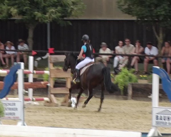 Reitturnier Schönfeld 2018
