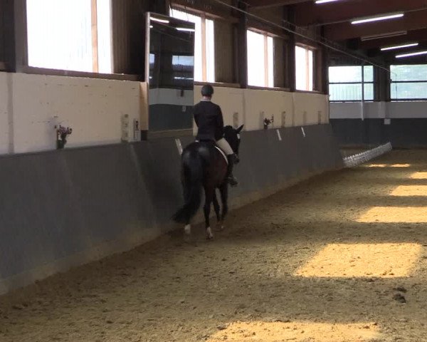 Reitturnier Dortmund-Asseln 2018