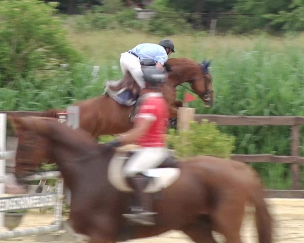 Reitturnier Schönfeld 2018