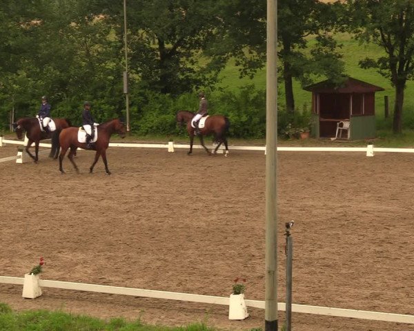 Reitturnier Erkrath - Uhlenhof 2018
