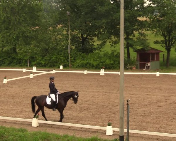 Reitturnier Erkrath - Uhlenhof 2018