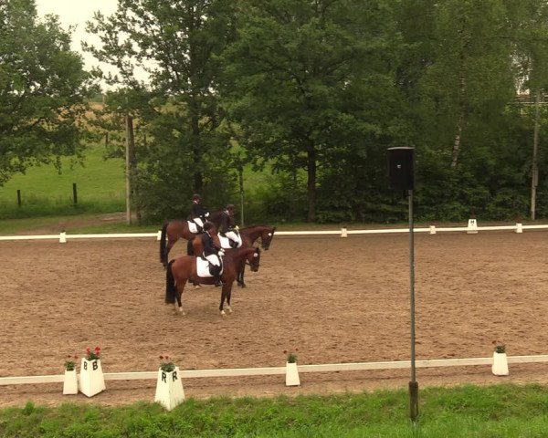 Reitturnier Erkrath - Uhlenhof 2018