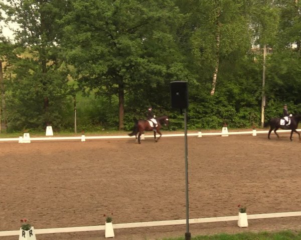 Reitturnier Erkrath - Uhlenhof 2018