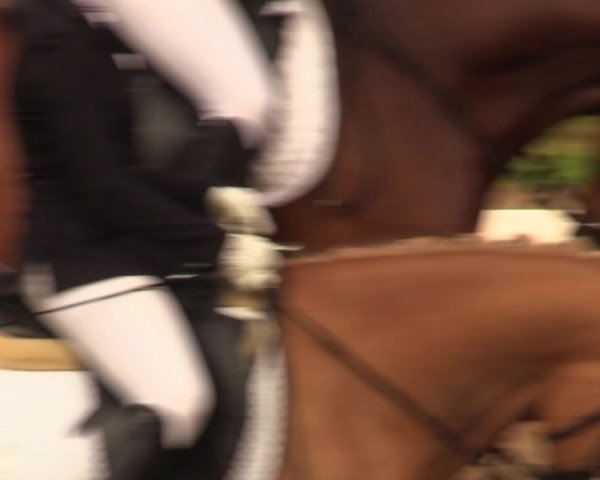 Reitturnier Erkrath - Uhlenhof 2018