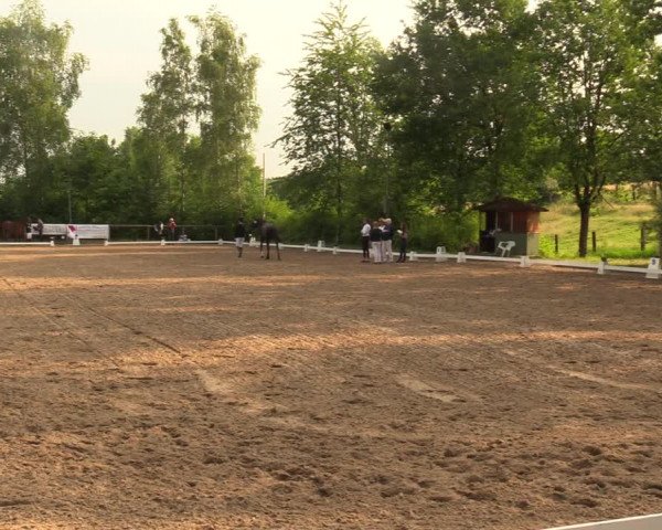 Reitturnier Erkrath - Uhlenhof 2018