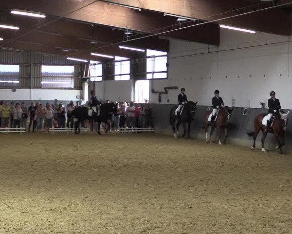 Reitturnier Dortmund-Asseln 2018
