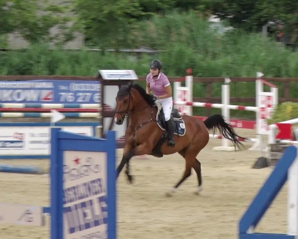 Reitturnier Schönfeld 2018