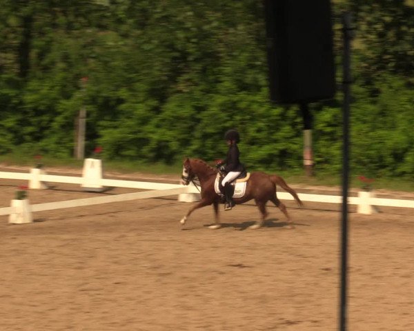 Reitturnier Erkrath - Uhlenhof 2018
