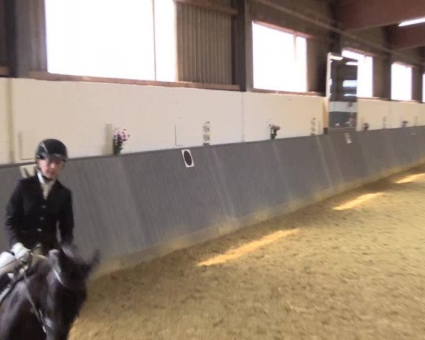 Reitturnier Dortmund-Asseln 2018