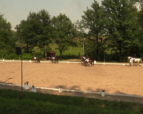 Reitturnier Erkrath - Uhlenhof 2018