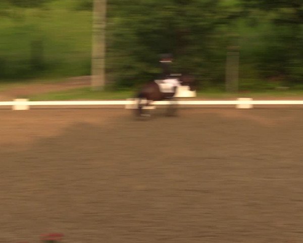 Reitturnier Erkrath - Uhlenhof 2018