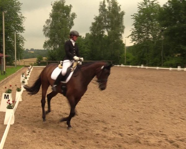 Reitturnier Erkrath - Uhlenhof 2018