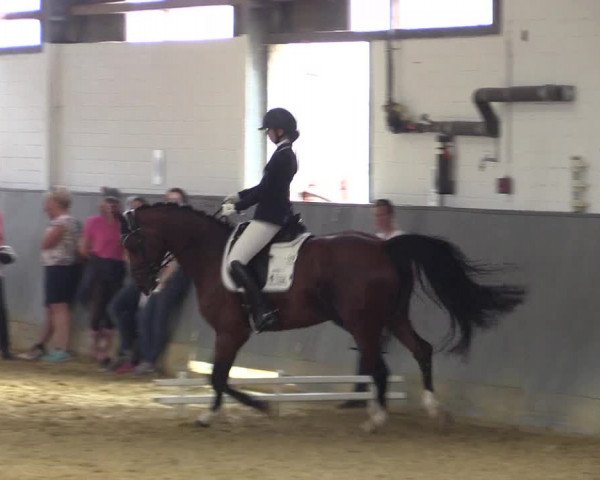 Reitturnier Dortmund-Asseln 2018
