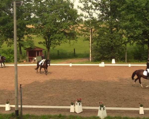 Reitturnier Erkrath - Uhlenhof 2018