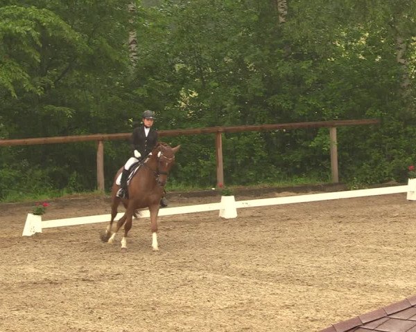 Reitturnier Erkrath - Uhlenhof 2018