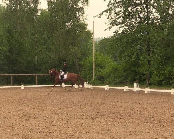 Reitturnier Erkrath - Uhlenhof 2018