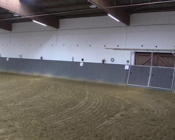 Reitturnier Dortmund-Asseln 2018