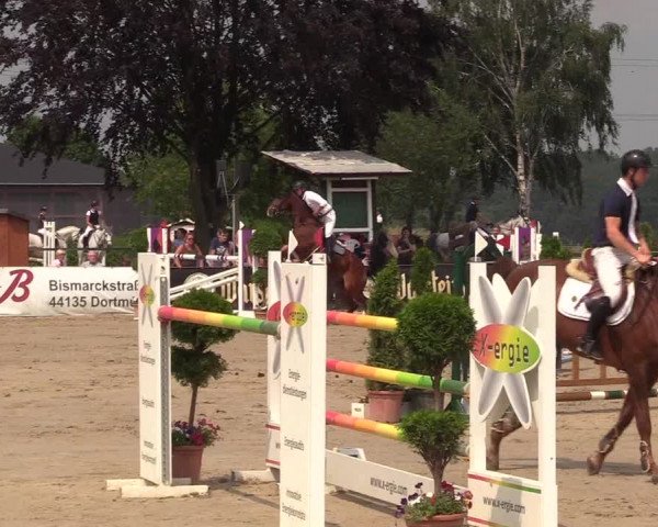 Reitturnier Dortmund-Asseln 2018