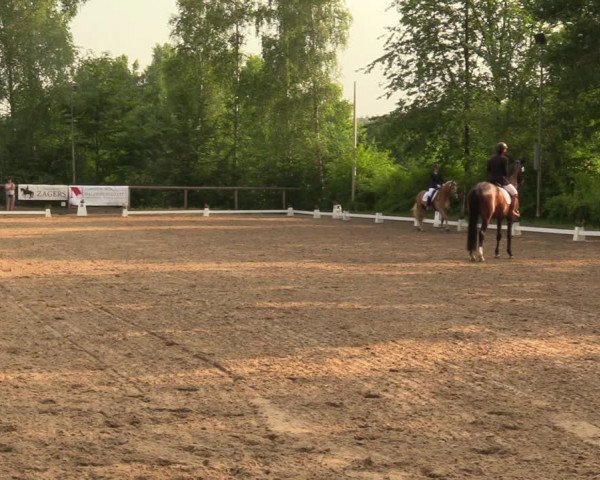 Reitturnier Erkrath - Uhlenhof 2018