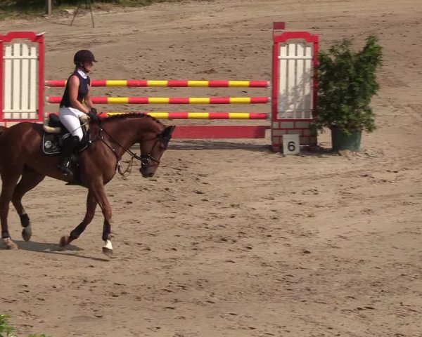 Reitturnier Erkrath - Uhlenhof 2018