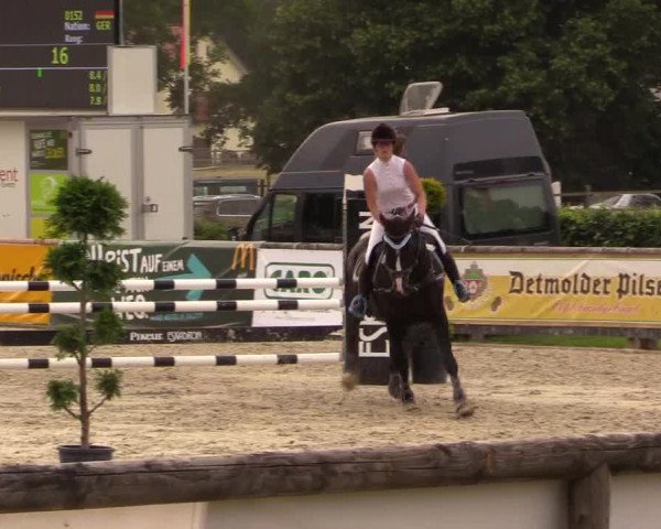 Reitturnier Detmold-Remmighausen 2018