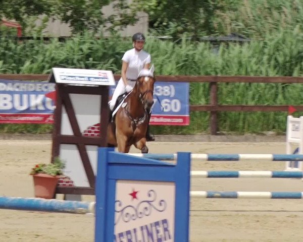 Reitturnier Schönfeld 2018
