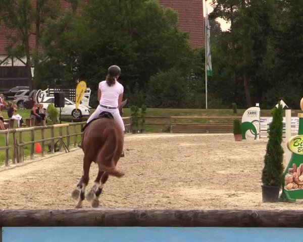 Reitturnier Detmold-Remmighausen 2018