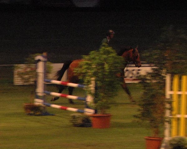 Reitturnier Legelshurst 2018