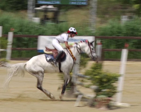 Reitturnier Schönfeld 2018