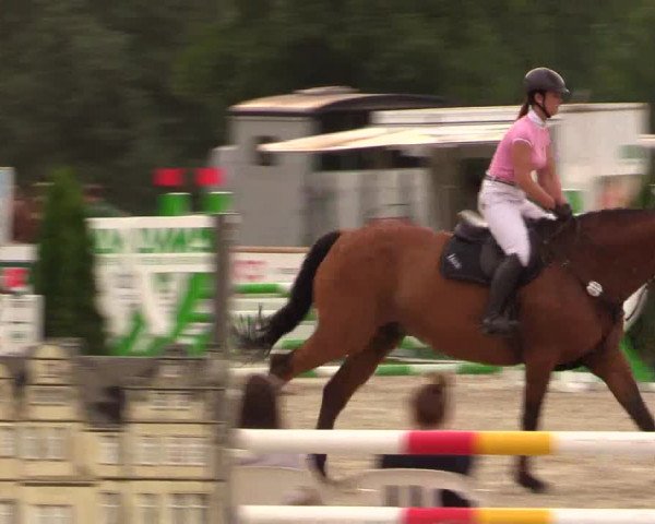 Reitturnier Detmold-Remmighausen 2018