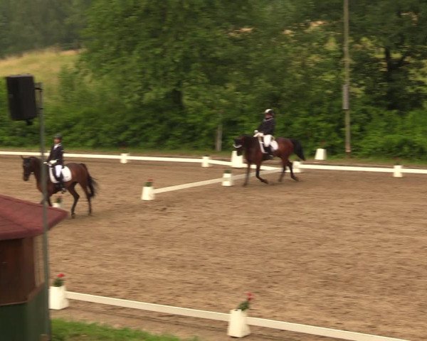Reitturnier Erkrath - Uhlenhof 2018